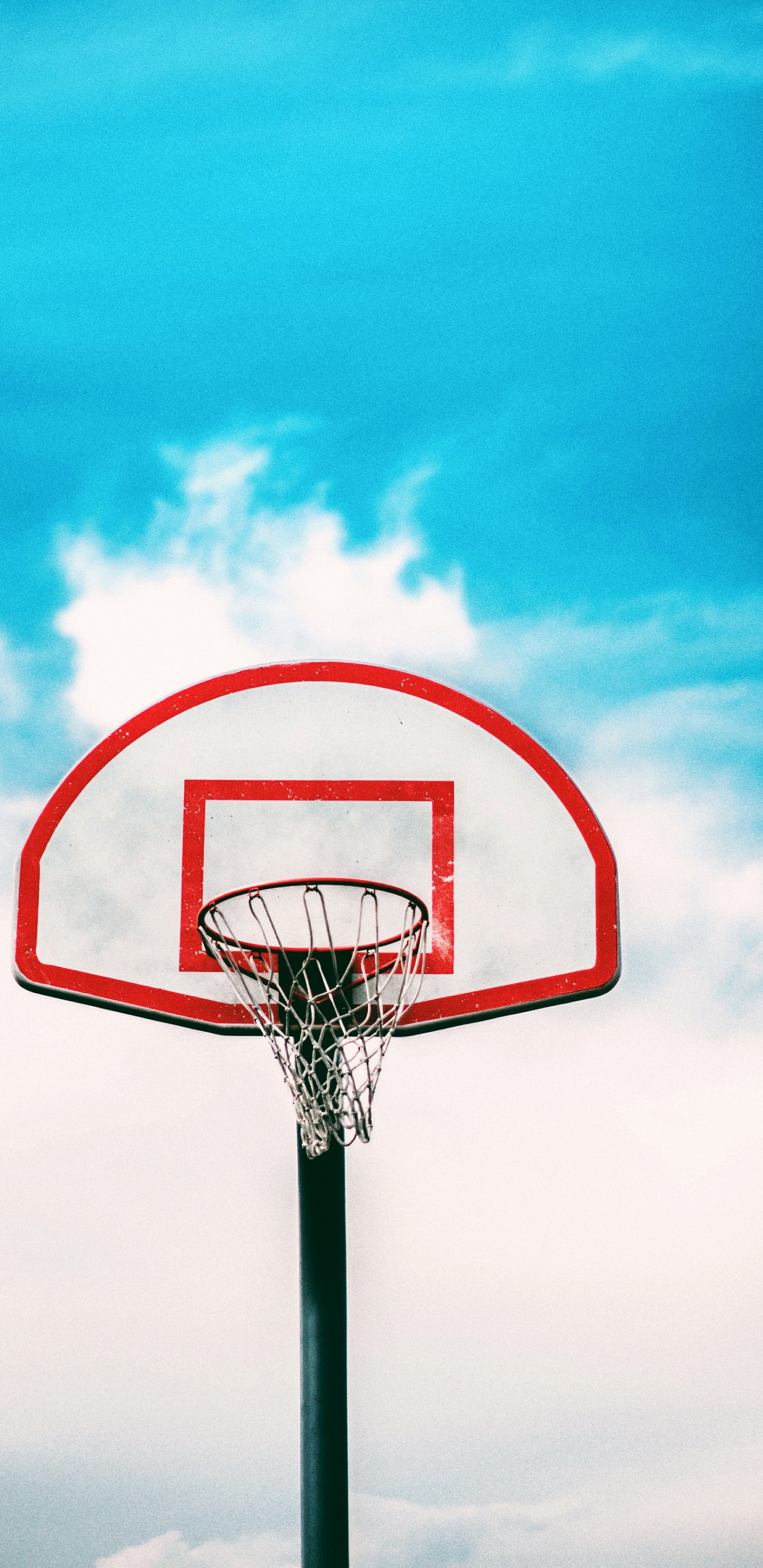 Basket Dégoulinant, NBA, Basket-ball D'entraînement Professionnel, Basket, Basket-ball Masculin Usc Trojans. Wallpaper in 1440x2960 Resolution