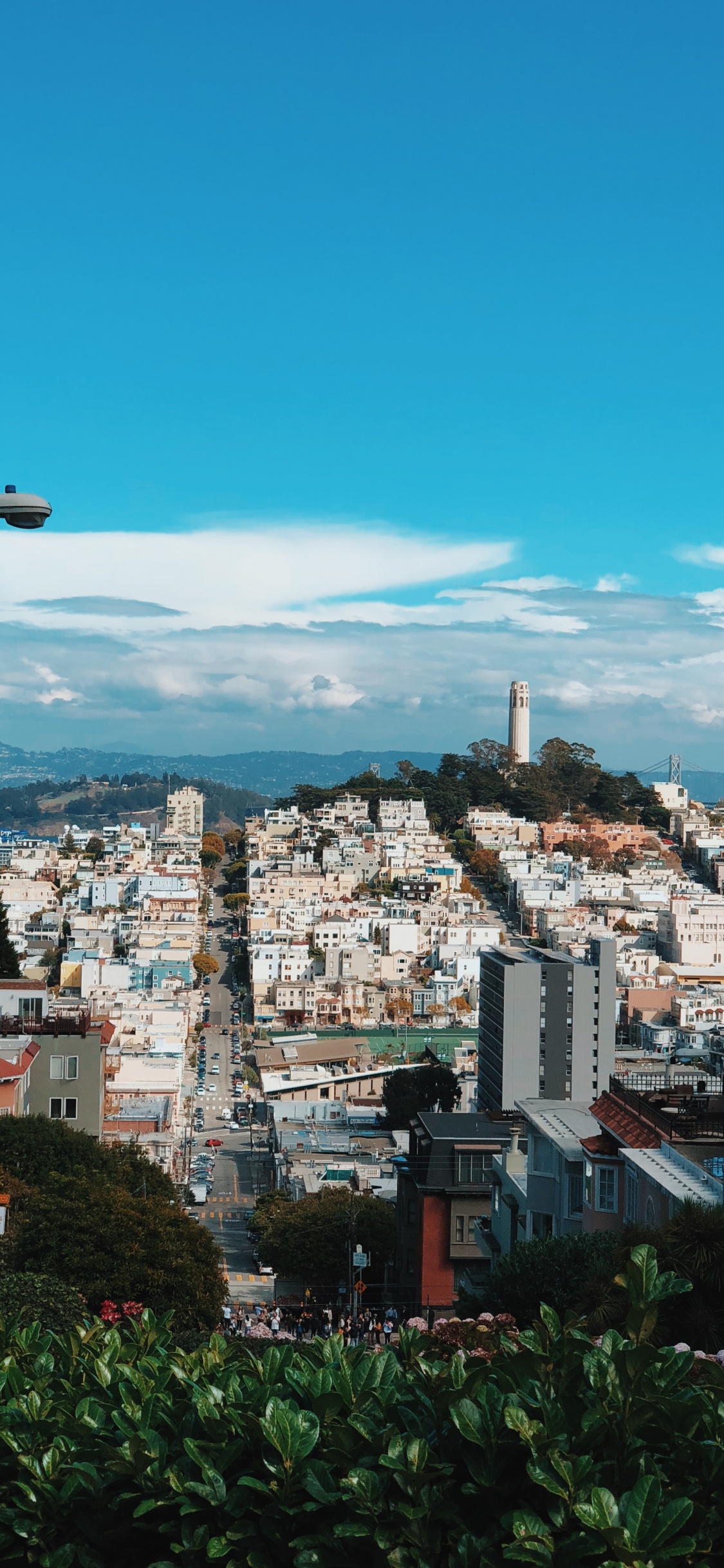 San Francisco, la Luz de Calle, Barrio, Área Urbana, Zona Residencial. Wallpaper in 1125x2436 Resolution