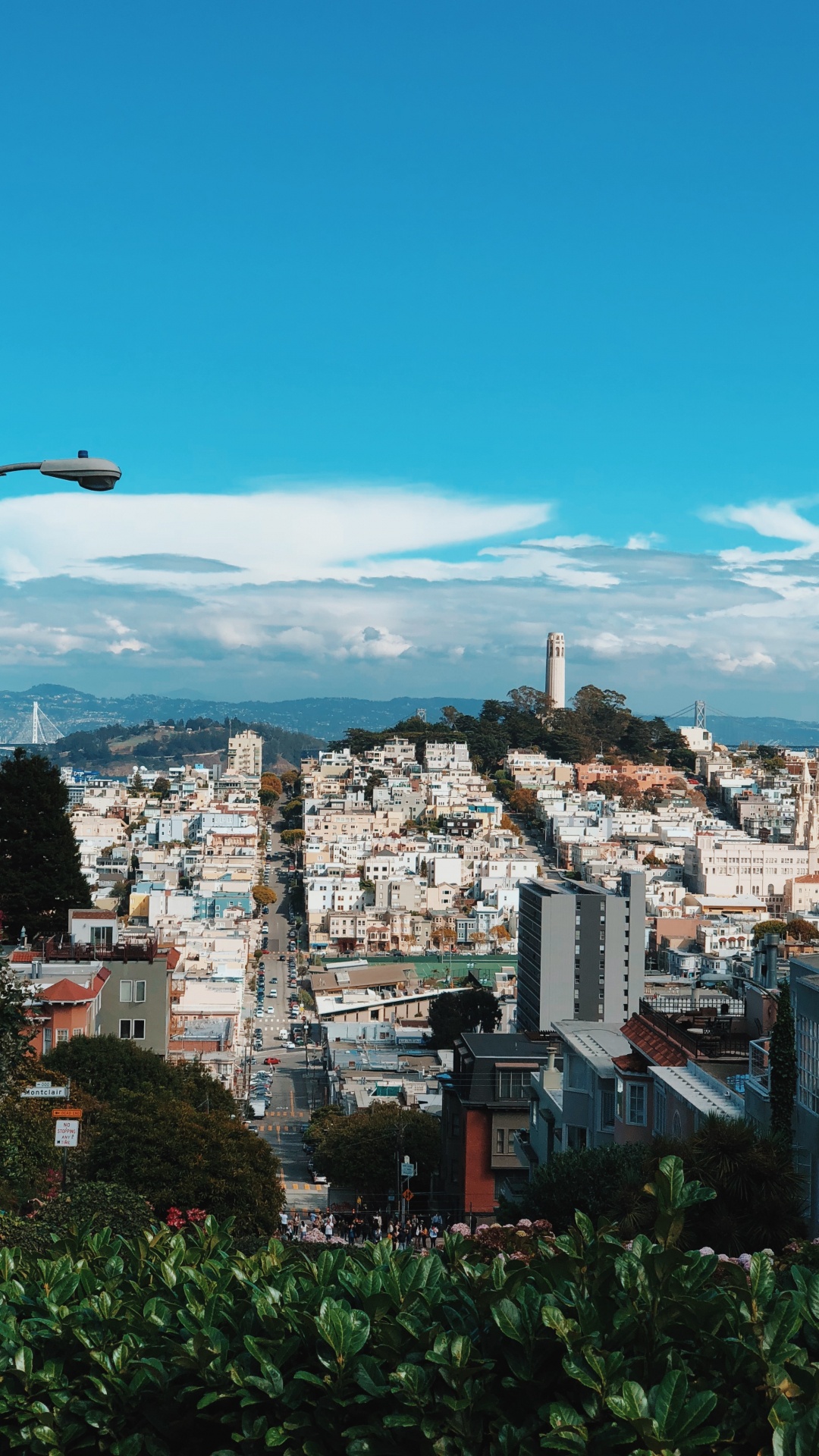 San Francisco, Street Light, Nachbarschaft, Stadtgebiet, Wohngebiet. Wallpaper in 1080x1920 Resolution