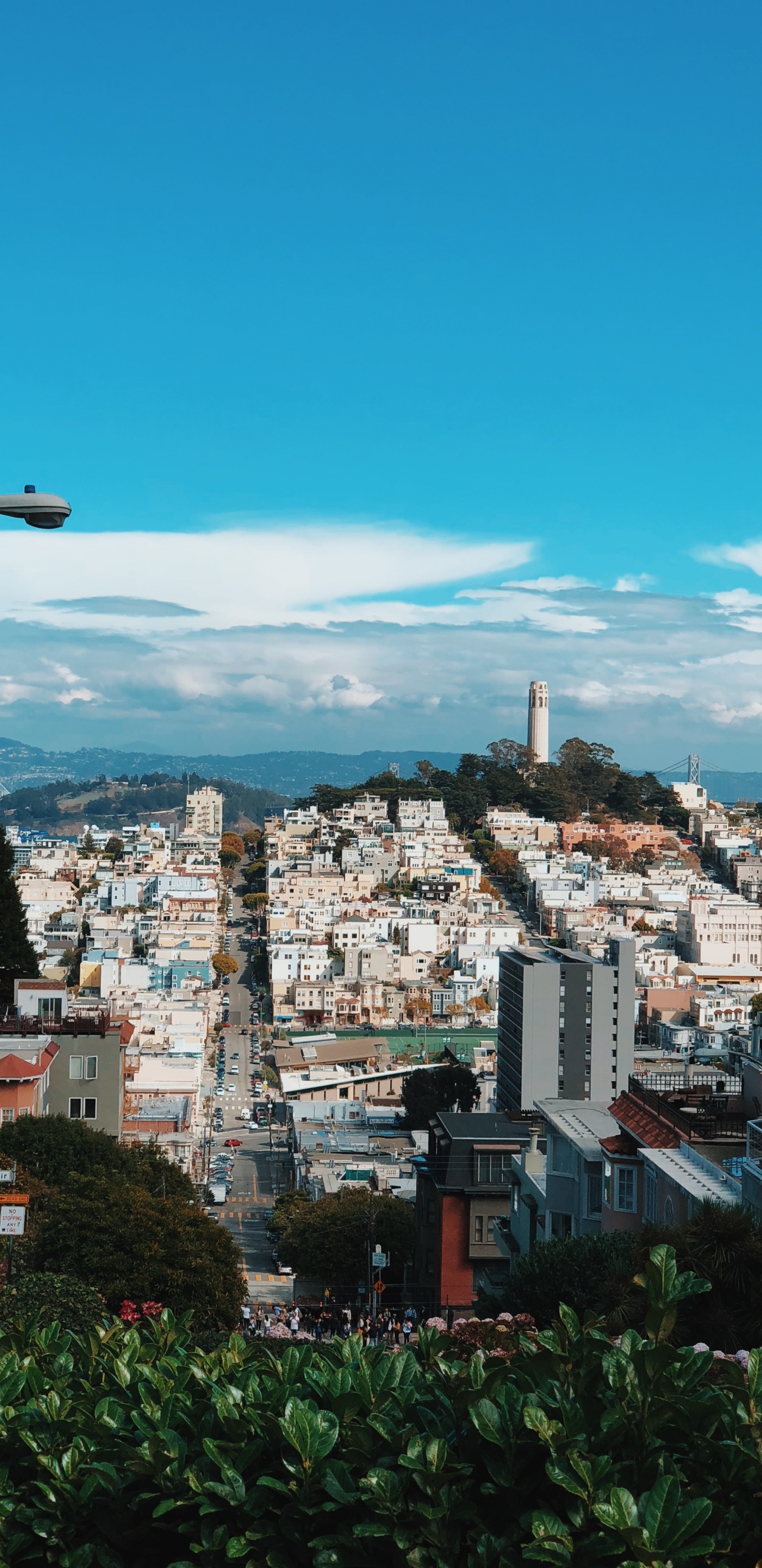 San Francisco, Street Light, Nachbarschaft, Stadtgebiet, Wohngebiet. Wallpaper in 1440x2960 Resolution