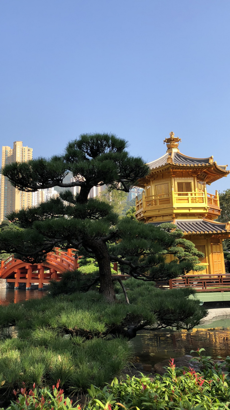 Hong Kong, Nature, Botanical Garden, Tourist Attraction, Science. Wallpaper in 750x1334 Resolution