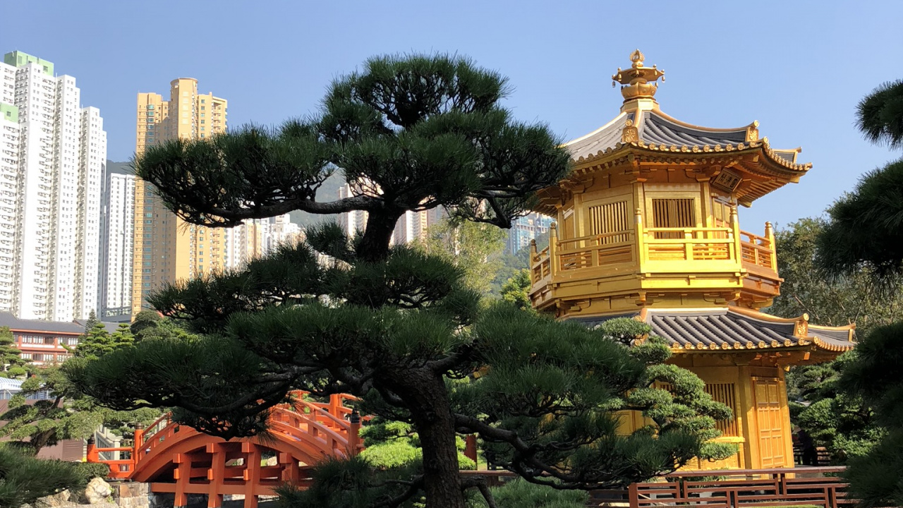 Hong Kong, Nature, Jardin Botanique, Attraction Touristique, Sciences. Wallpaper in 1280x720 Resolution