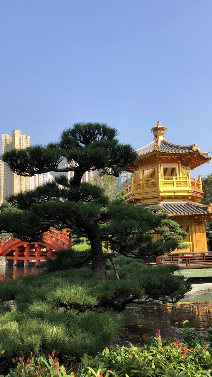 香港, 性质, 植物园, 旅游景点, 科学 壁纸 720x1280 允许