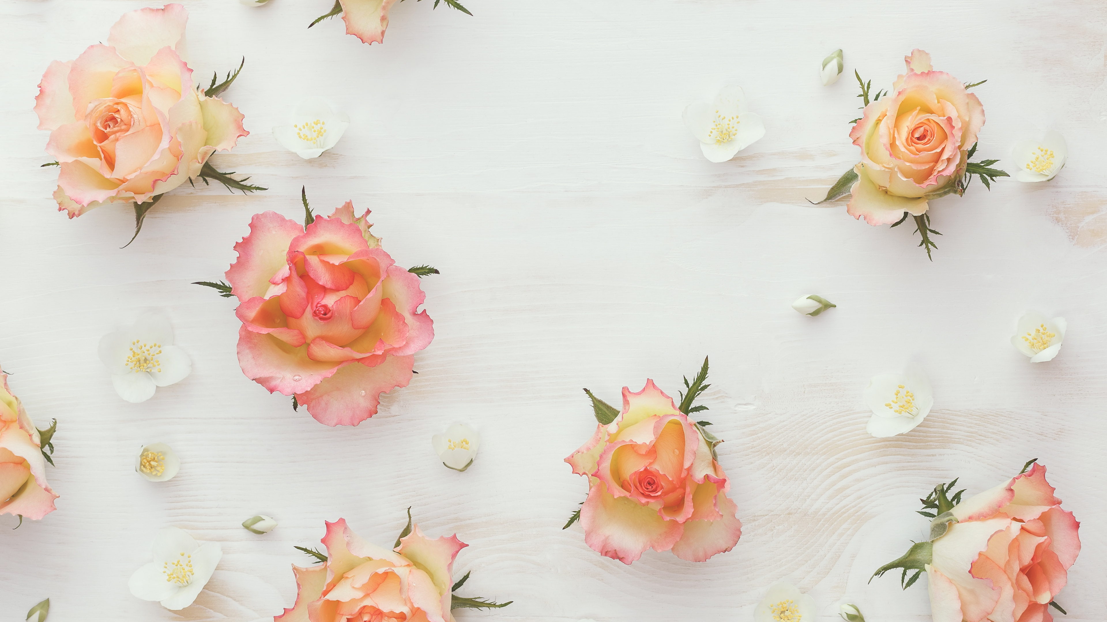 白色, 茉莉花, 粉红色, 花卉设计, 人造花 壁纸 3840x2160 允许