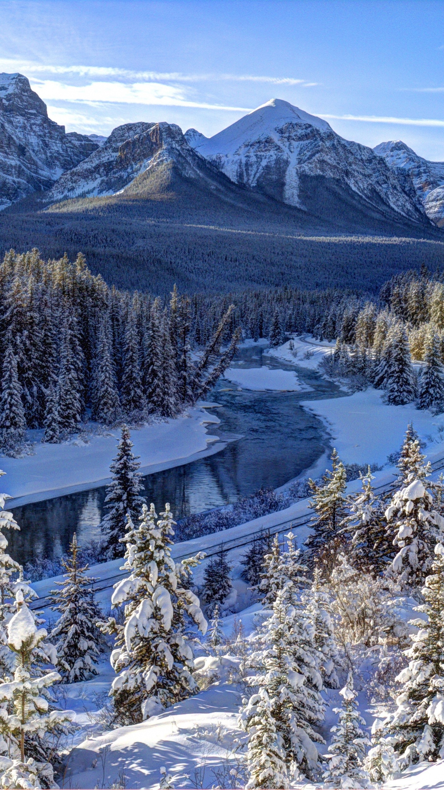Green Pine Trees on Snow Covered Ground Near Mountain During Daytime. Wallpaper in 1440x2560 Resolution