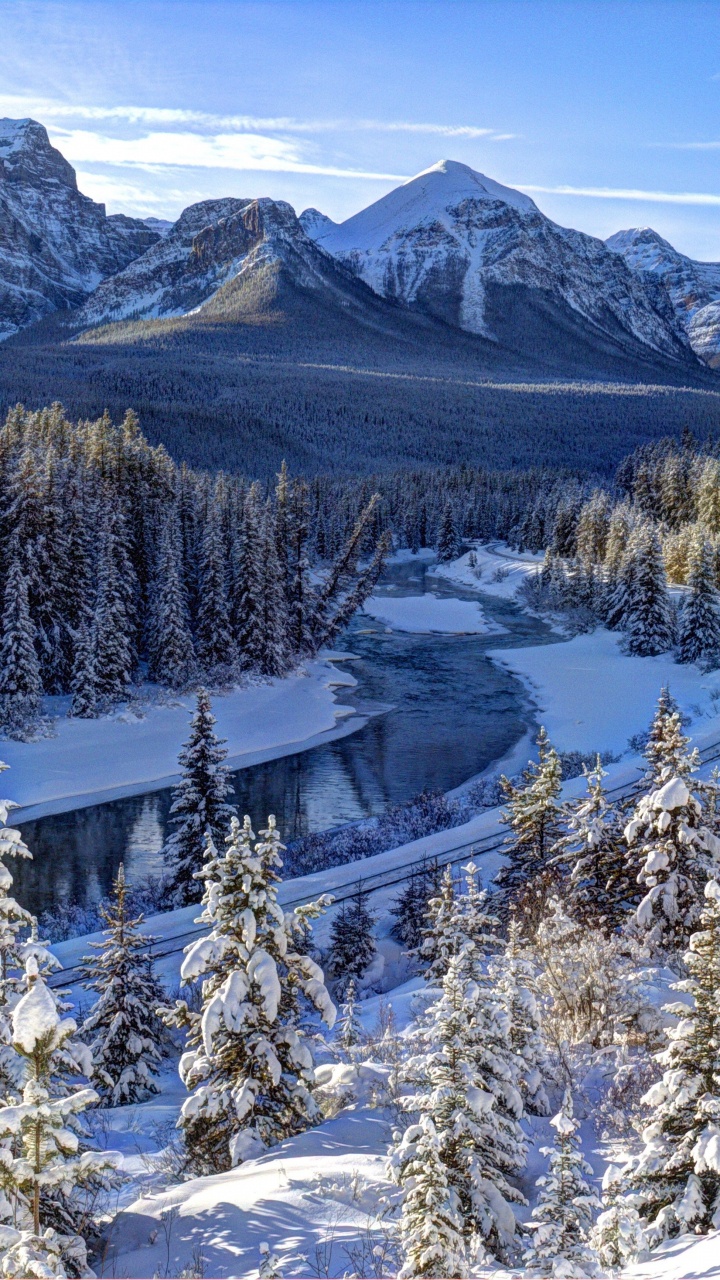 Green Pine Trees on Snow Covered Ground Near Mountain During Daytime. Wallpaper in 720x1280 Resolution