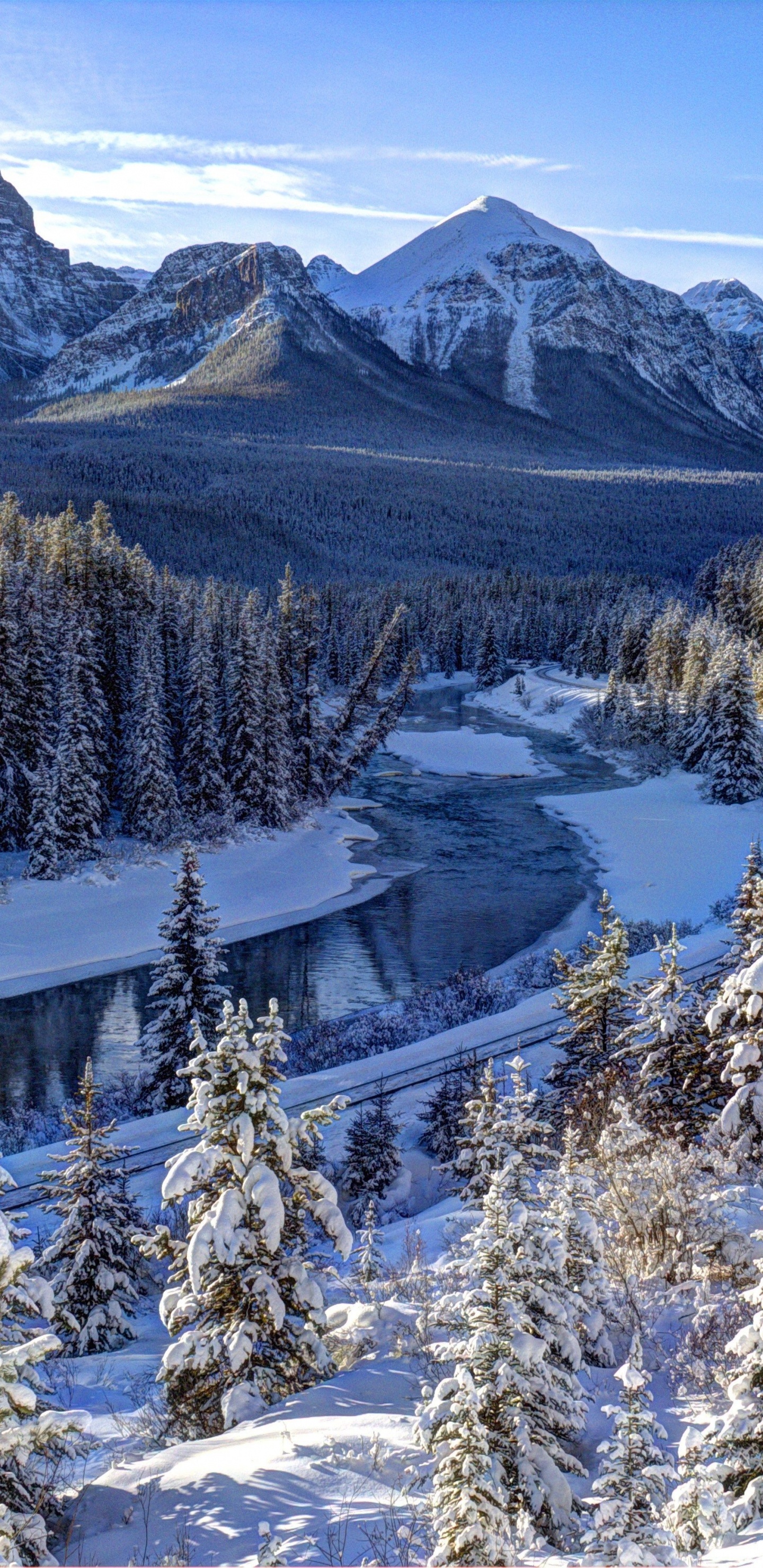 Grüne Pinien Auf Schneebedecktem Boden in Der Nähe Von Bergen Tagsüber During. Wallpaper in 1440x2960 Resolution