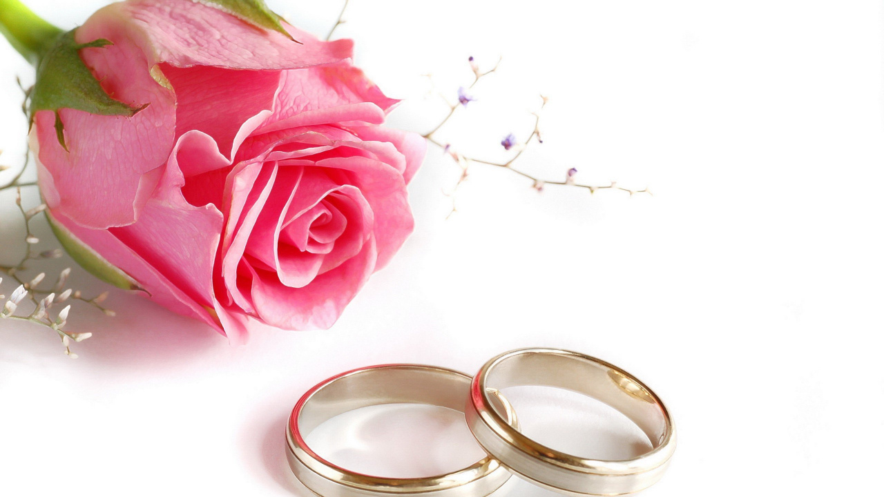 Wedding, Wedding Ring, Wedding Anniversary, Flower, Ring. Wallpaper in 1280x720 Resolution
