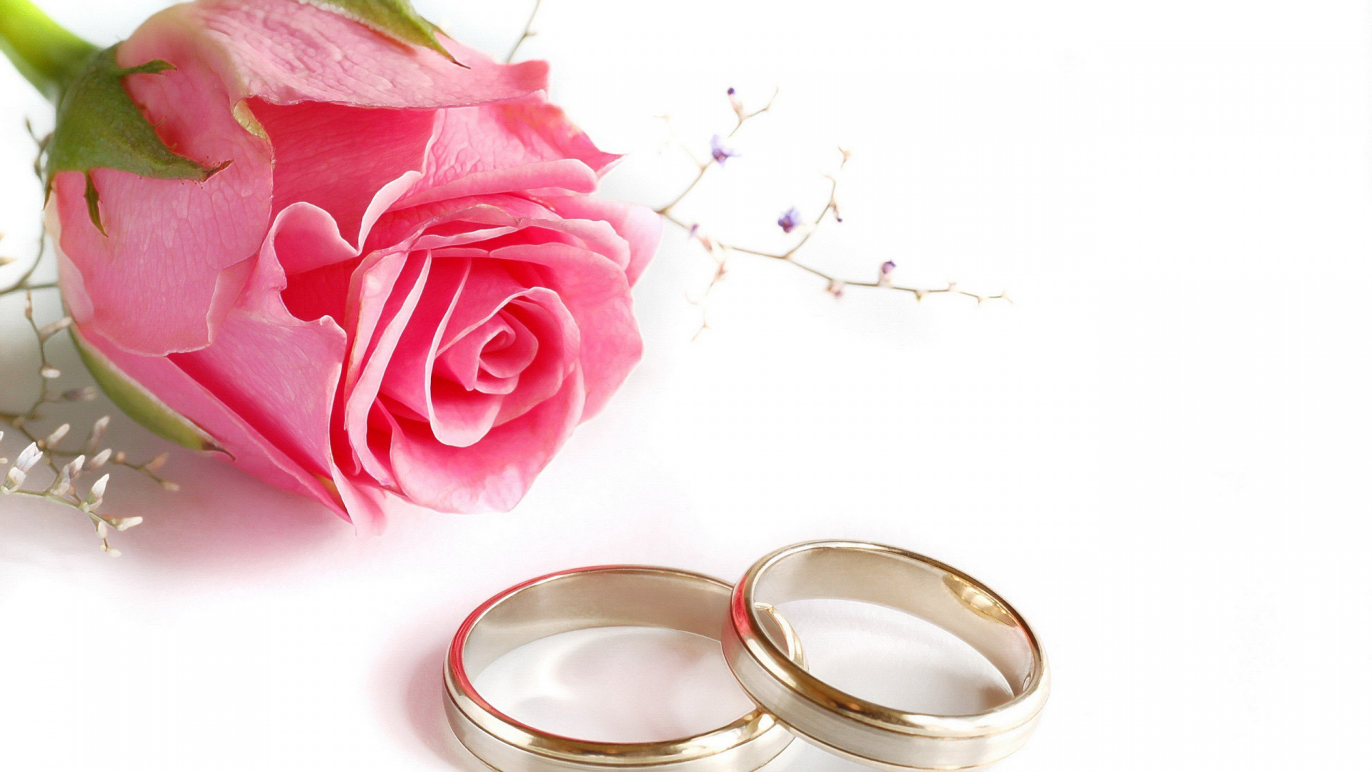 Trauring, Hochzeitstag, Ring, Gold, Pink. Wallpaper in 1920x1080 Resolution