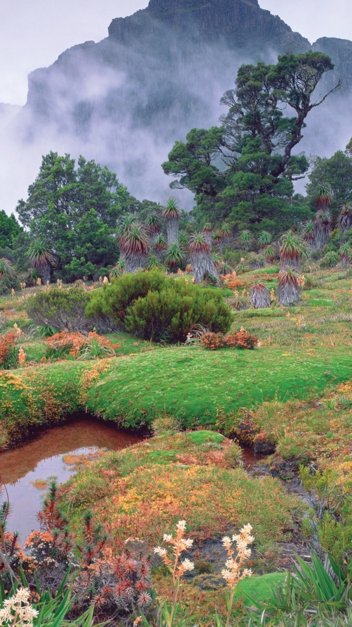 Campo de Hierba Verde Cerca de la Montaña Durante el Día. Wallpaper in 720x1280 Resolution