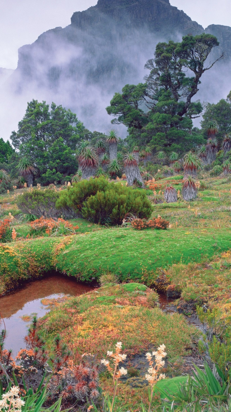 Campo de Hierba Verde Cerca de la Montaña Durante el Día. Wallpaper in 750x1334 Resolution