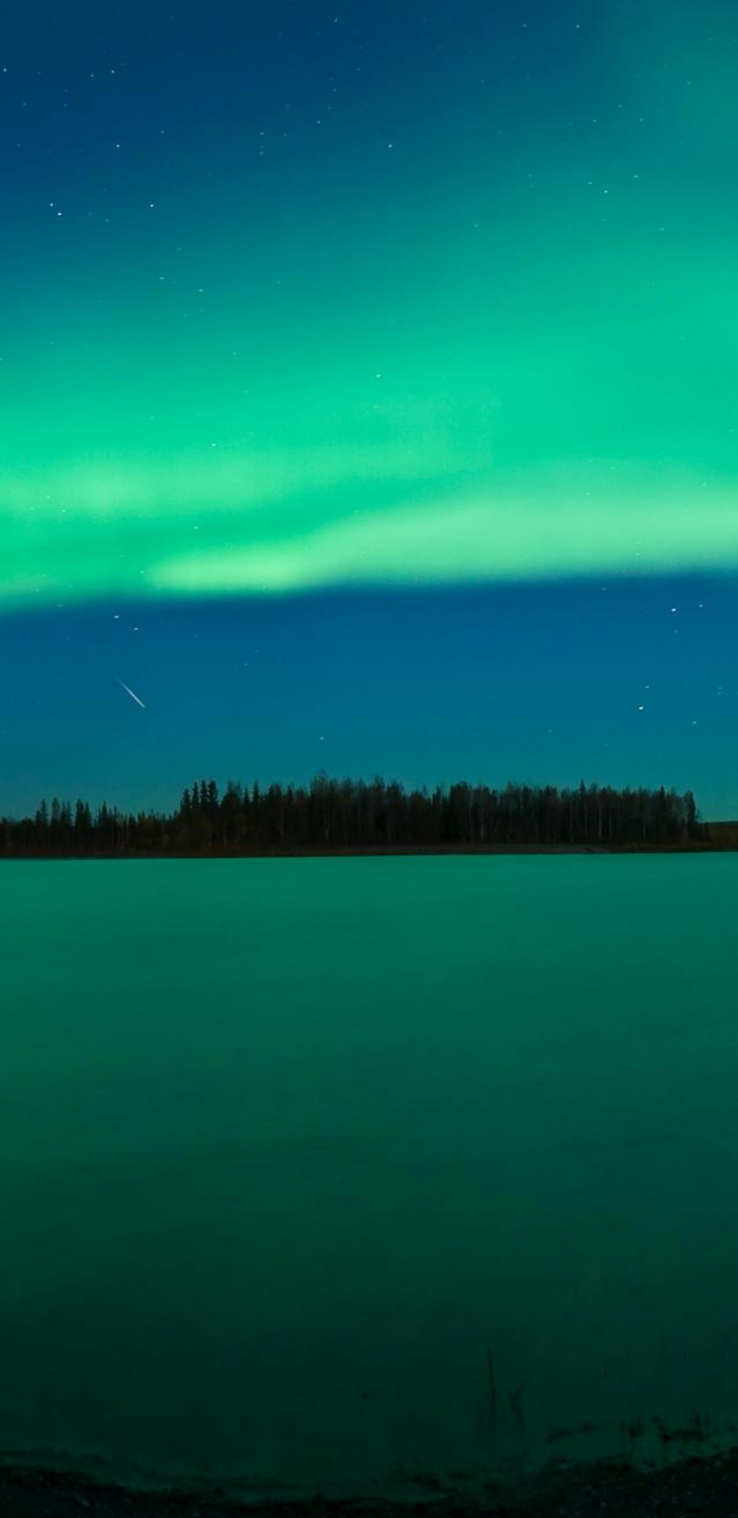 Aurora, Nature, Green, Blue, Horizon. Wallpaper in 1440x2960 Resolution