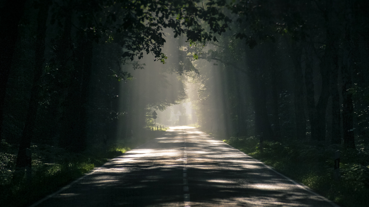 Road, Natur, Gr, Sonnenlicht, Baum. Wallpaper in 1280x720 Resolution