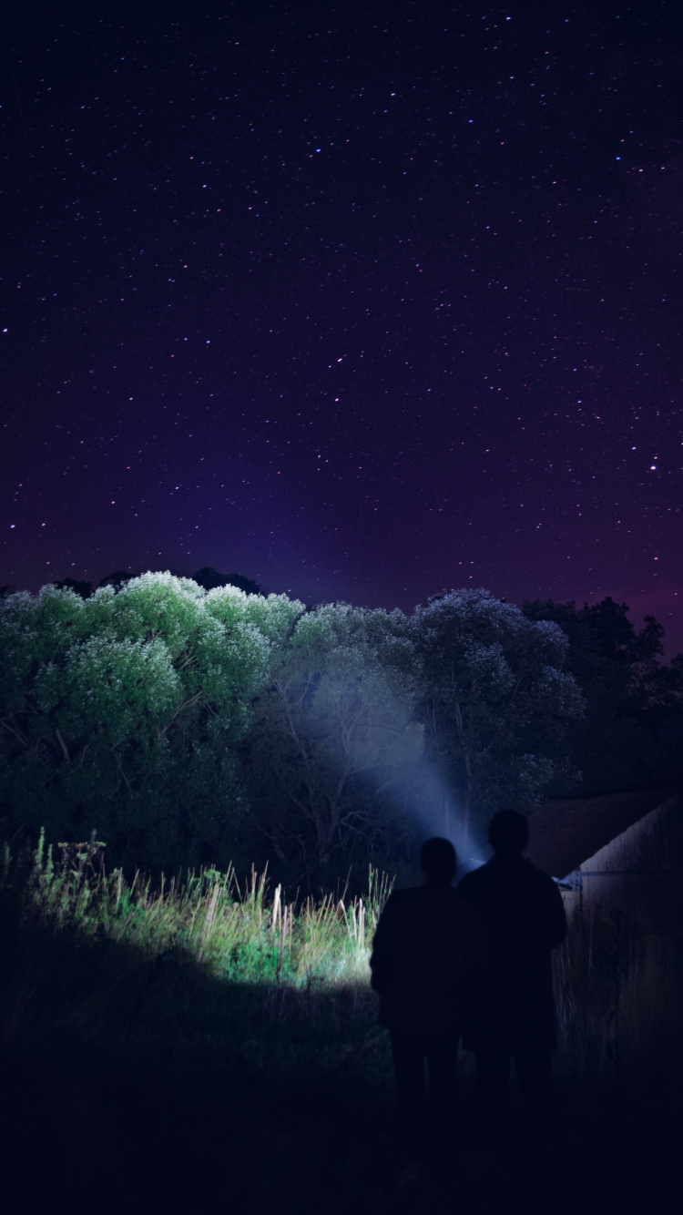 Nacht, Licht, Aurora, Atmosphäre, Raum. Wallpaper in 750x1334 Resolution