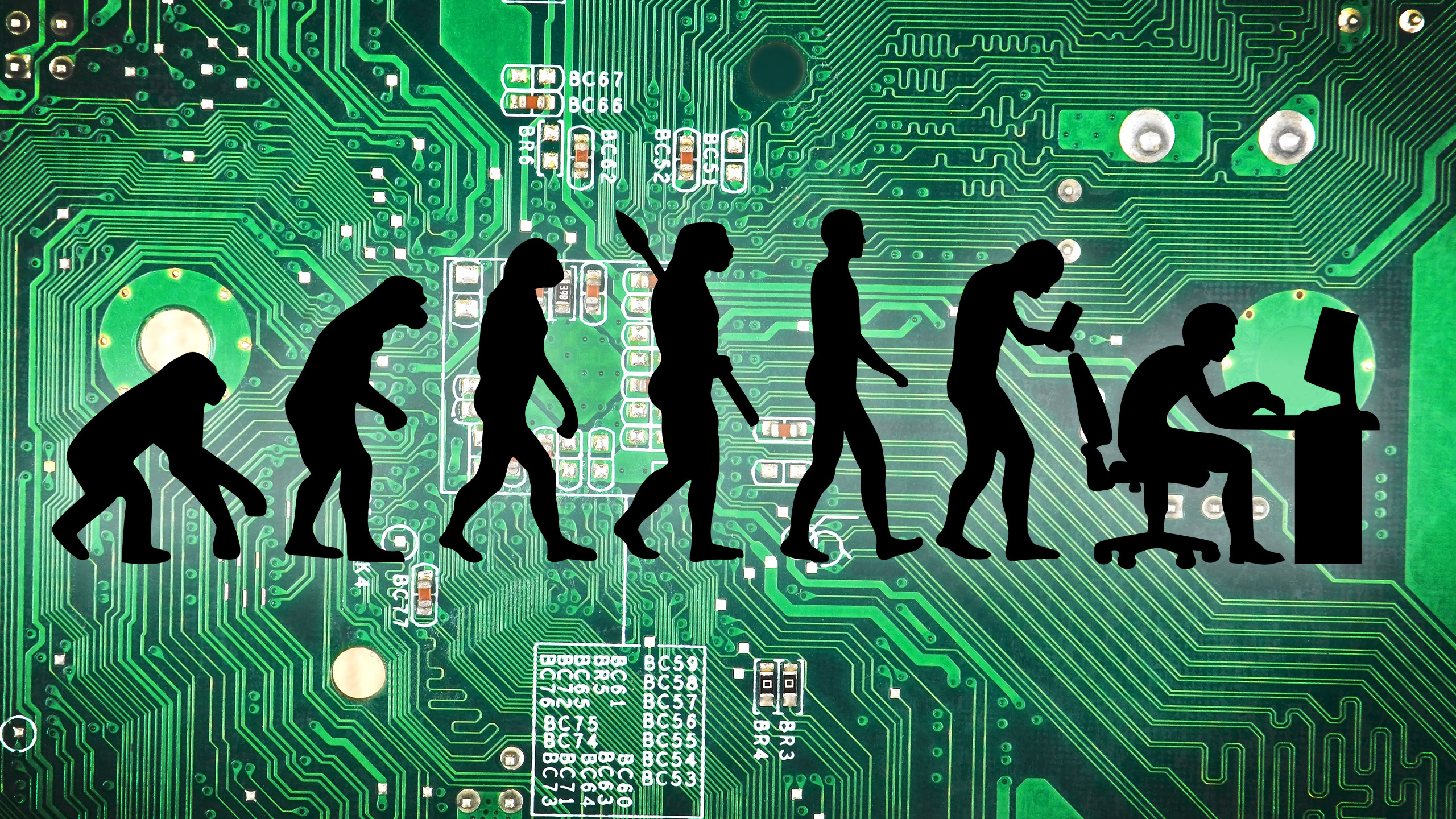 Silhouette of People Walking on Green and Black Floor. Wallpaper in 2560x1440 Resolution