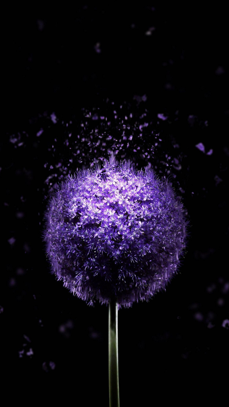 Amoled, Super Amoled, Morado, Agua, Violeta. Wallpaper in 750x1334 Resolution
