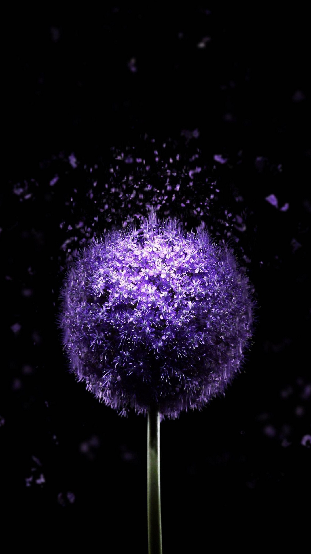 Amoled, Super AMOLED, Purple, Eau, Violette. Wallpaper in 1080x1920 Resolution