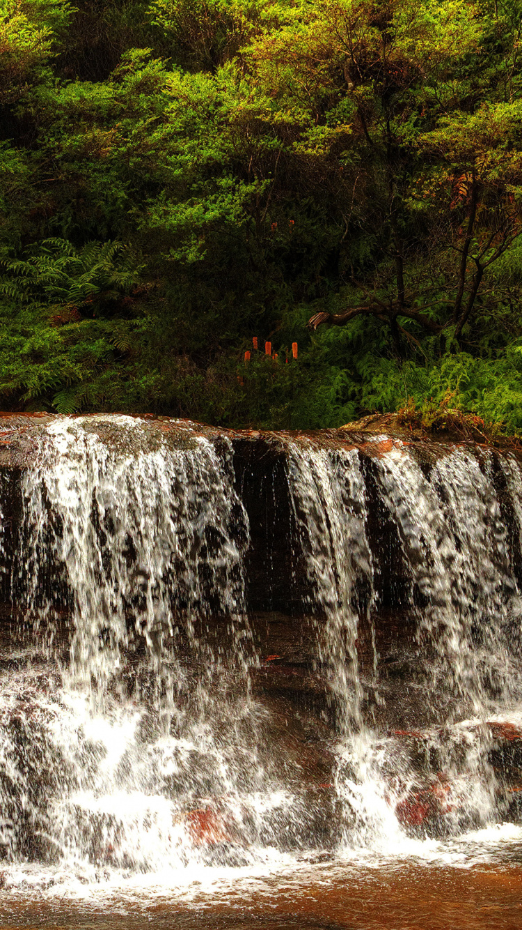 el Agua Cae en el Bosque Durante el Día. Wallpaper in 750x1334 Resolution