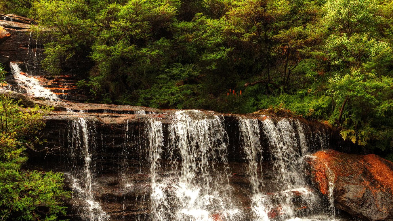 Wasser Fällt Tagsüber im Wald. Wallpaper in 1366x768 Resolution