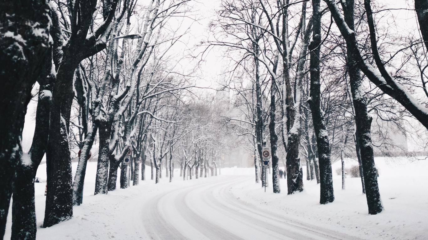 Hiver, Nature, Paysage Naturel, Saison, Forêt. Wallpaper in 1366x768 Resolution