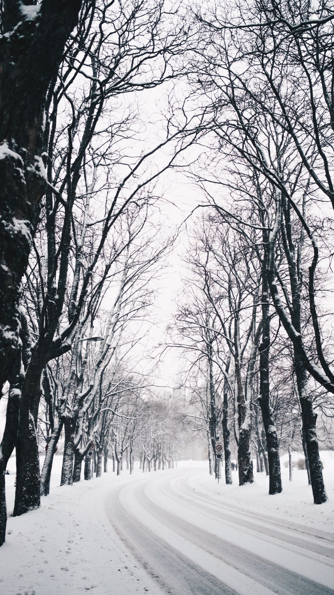 Invierno, Naturaleza, Paisaje Natural, Sucursal, Temporada. Wallpaper in 1080x1920 Resolution