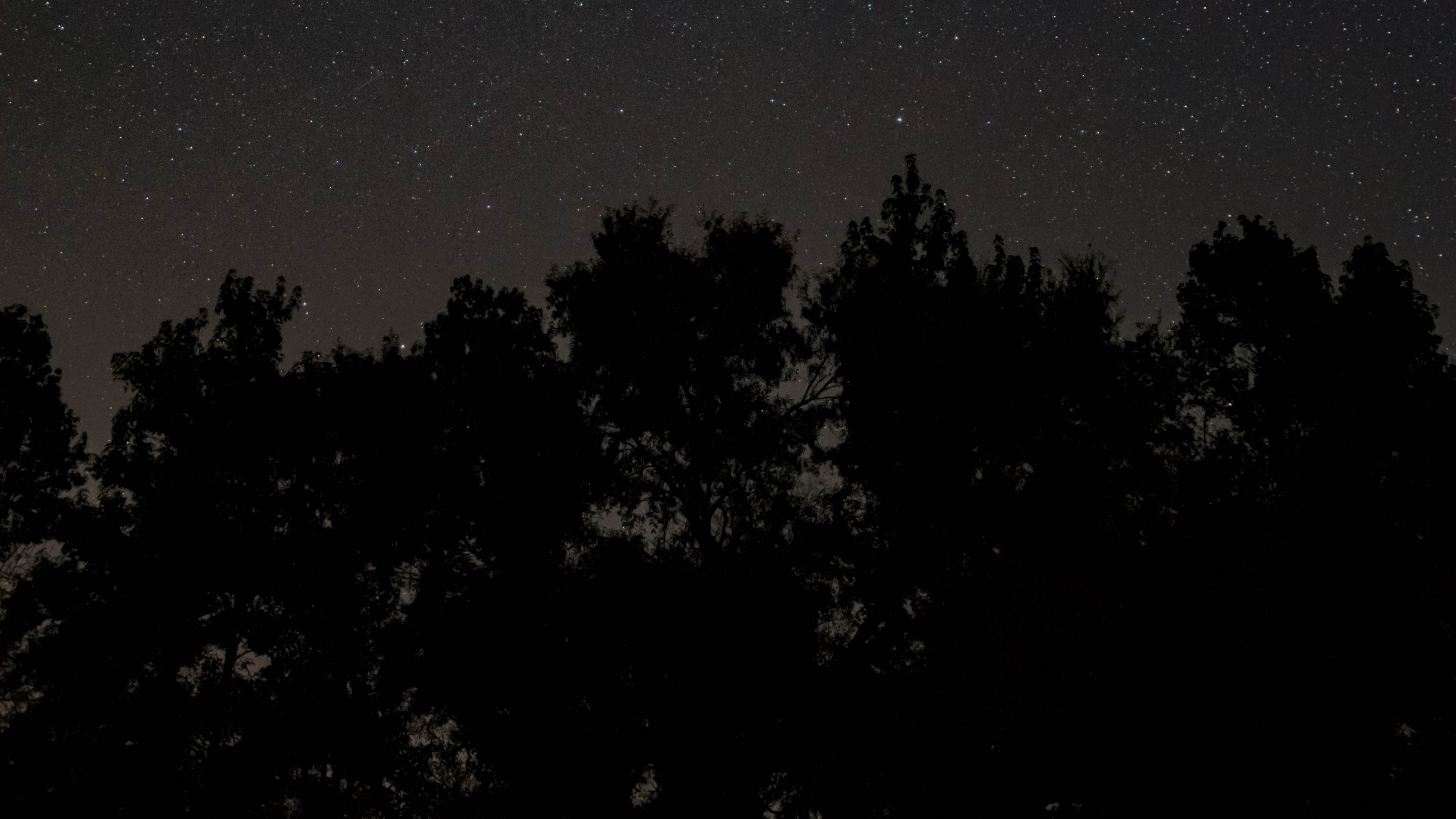 Night, Darkness, Black, Atmosphere, Tree. Wallpaper in 3840x2160 Resolution