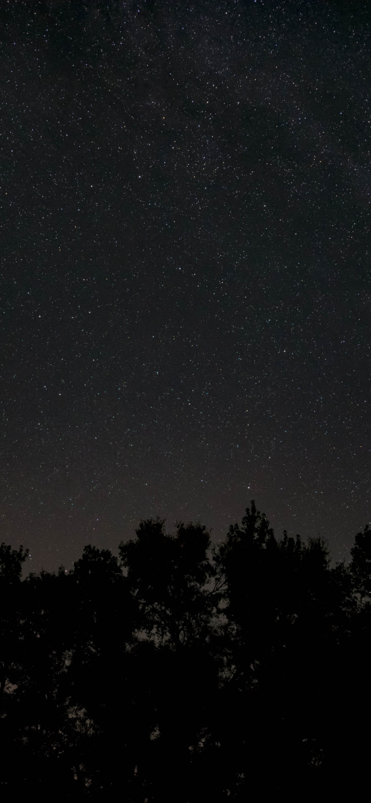 Negro, Ambiente, Estrella, la Astronomía, Hormiga. Wallpaper in 1242x2688 Resolution