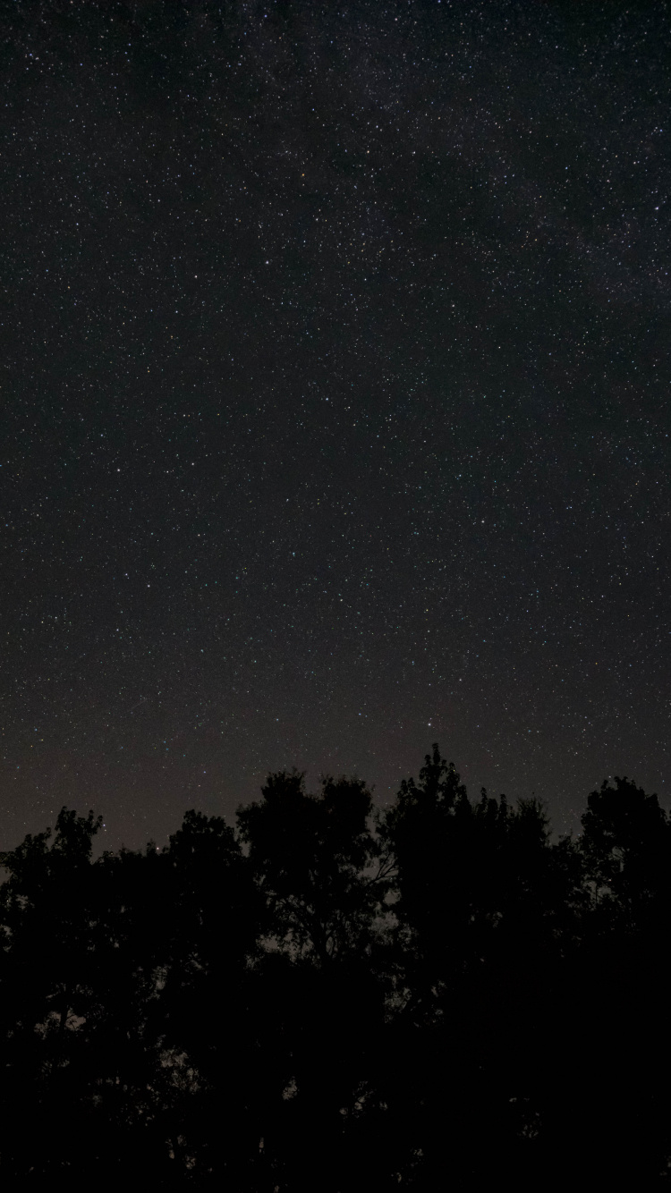 Negro, Ambiente, Estrella, la Astronomía, Hormiga. Wallpaper in 750x1334 Resolution