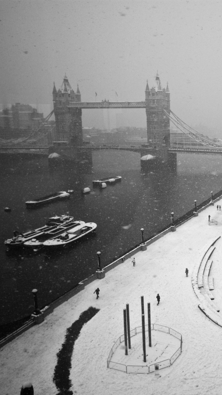 Foto en Escala de Grises de Coches en la Carretera Cerca Del Puente. Wallpaper in 720x1280 Resolution
