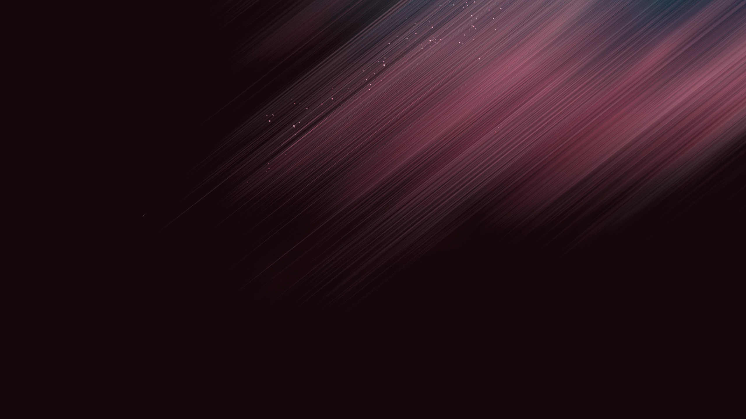Smartphone, Android, Android 12, Veilchen, Farbtöne Und Schattierungen. Wallpaper in 2560x1440 Resolution