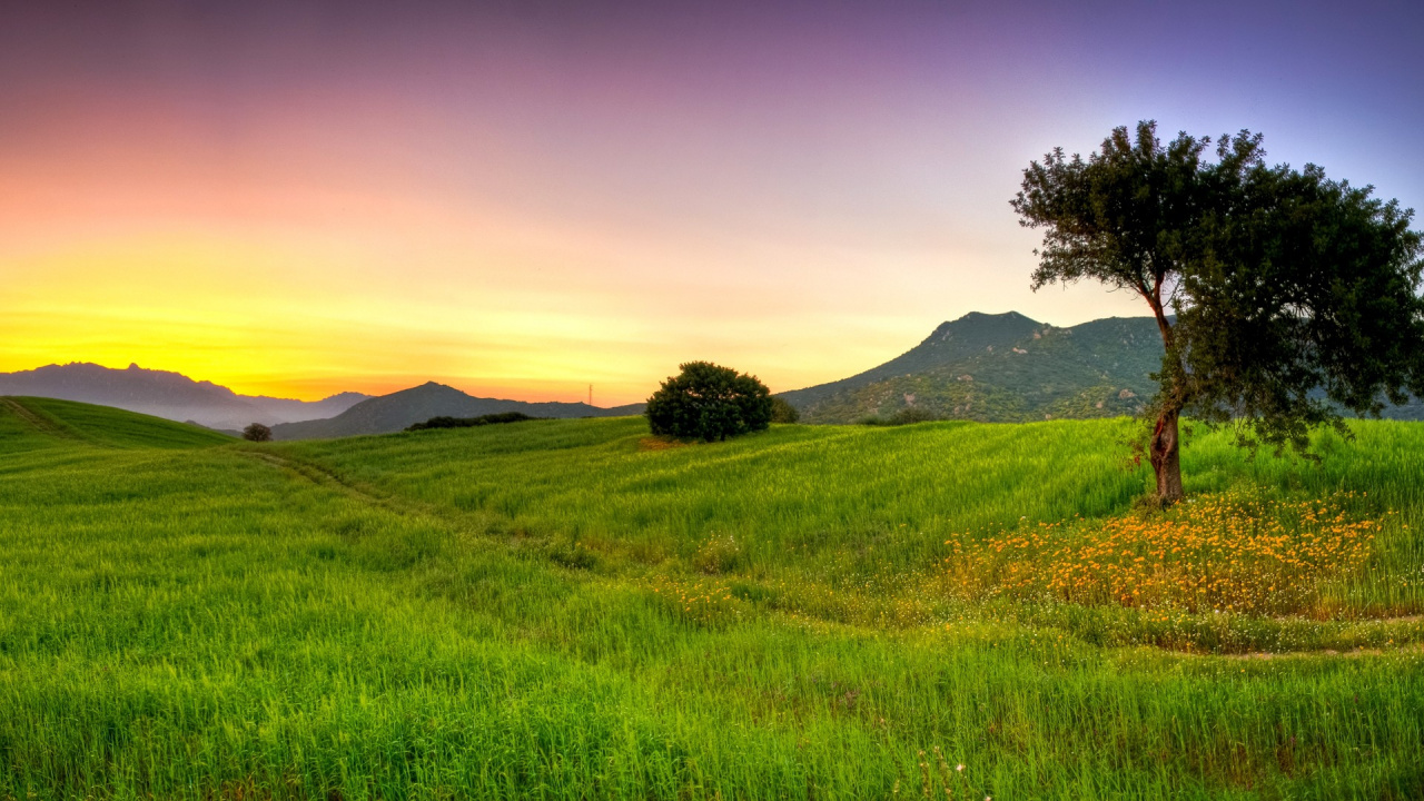 Campo de Hierba Verde y Montaña Durante la Puesta de Sol. Wallpaper in 1280x720 Resolution