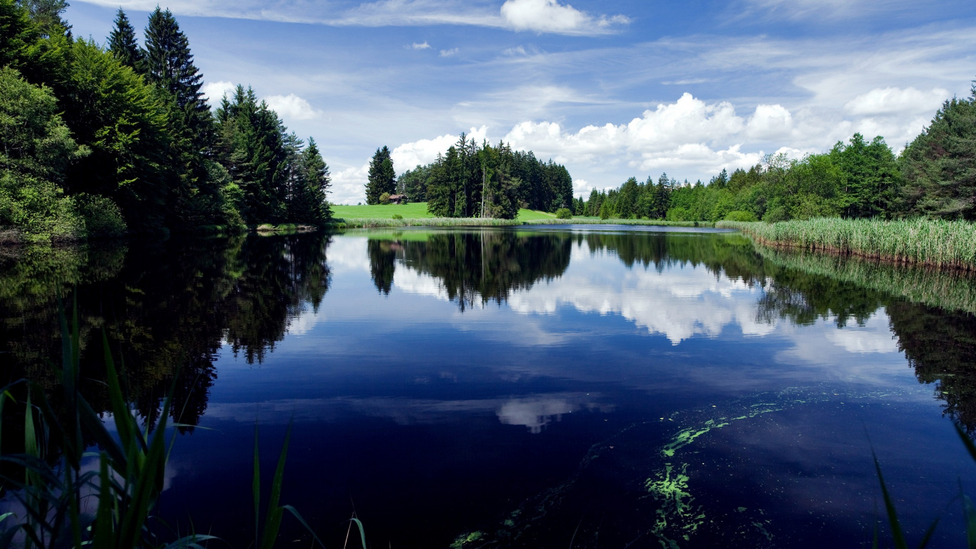 Green Trees Beside Lake Under Cloudy Sky During Daytime. Wallpaper in 1366x768 Resolution