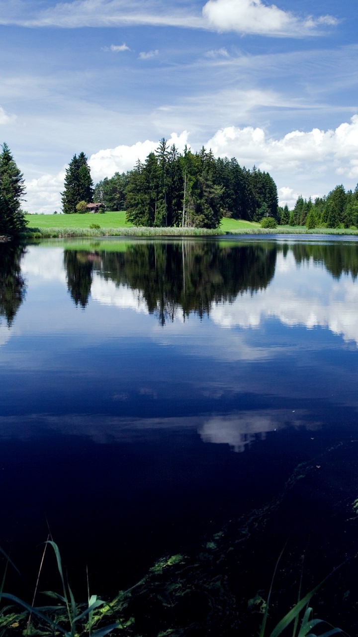 Green Trees Beside Lake Under Cloudy Sky During Daytime. Wallpaper in 720x1280 Resolution