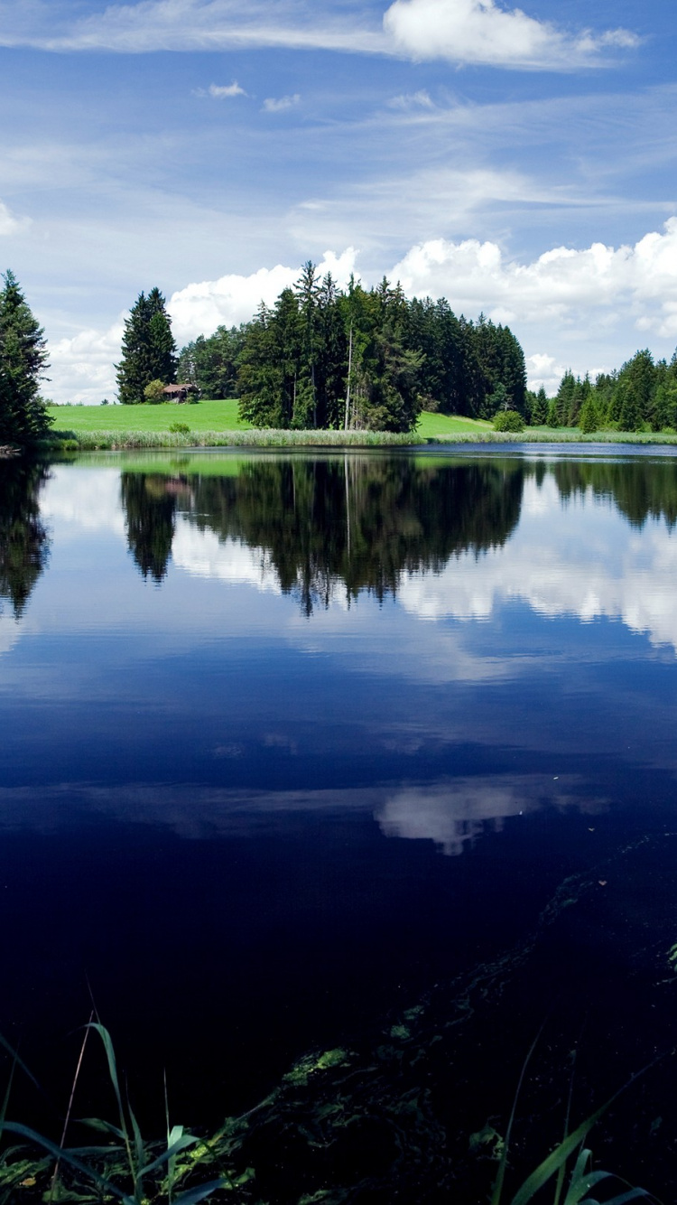 Grüne Bäume am See Unter Bewölktem Himmel Tagsüber During. Wallpaper in 750x1334 Resolution