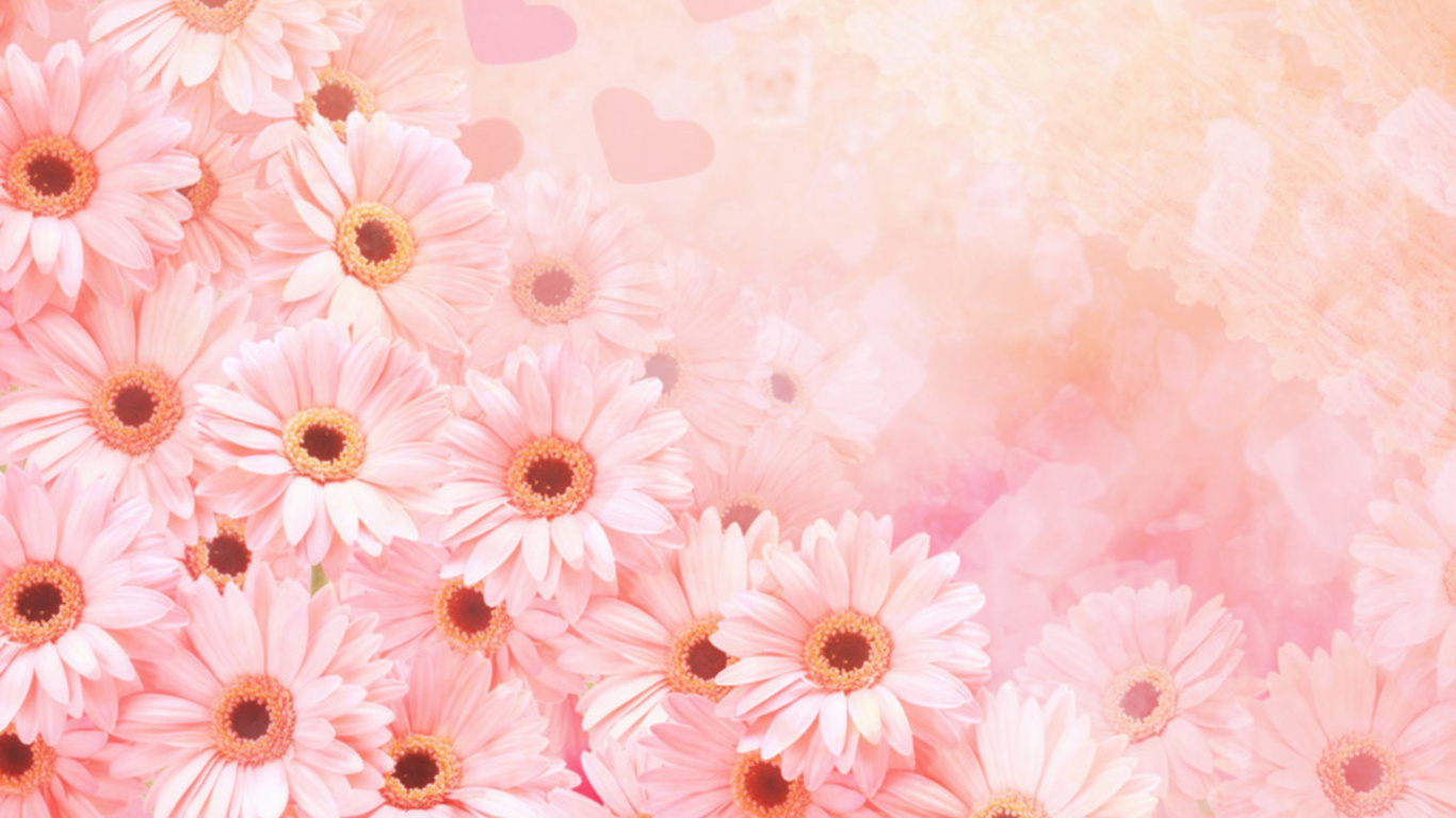 Pink and White Floral Textile. Wallpaper in 1366x768 Resolution