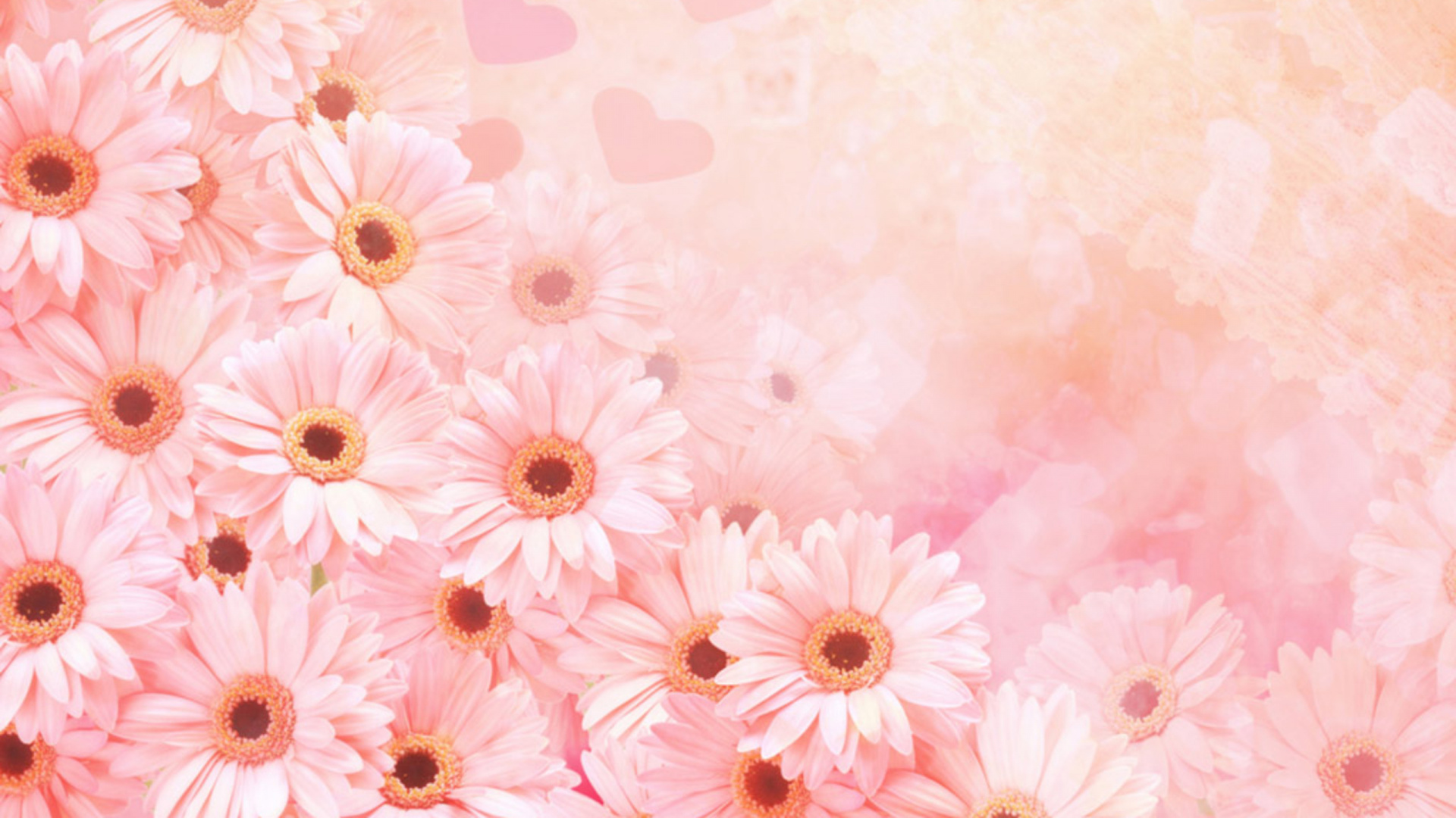 Pink and White Floral Textile. Wallpaper in 1920x1080 Resolution