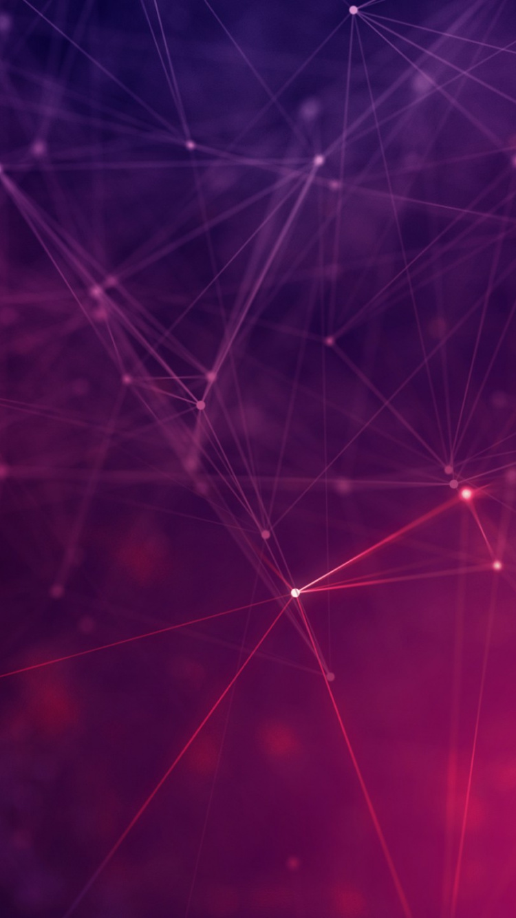 Gotas de Agua Sobre la Telaraña en Fotografía de Cerca. Wallpaper in 750x1334 Resolution