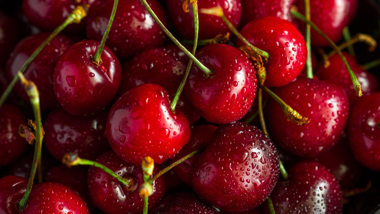 Red Cherries on Stainless Steel Bowl. Wallpaper in 1280x720 Resolution