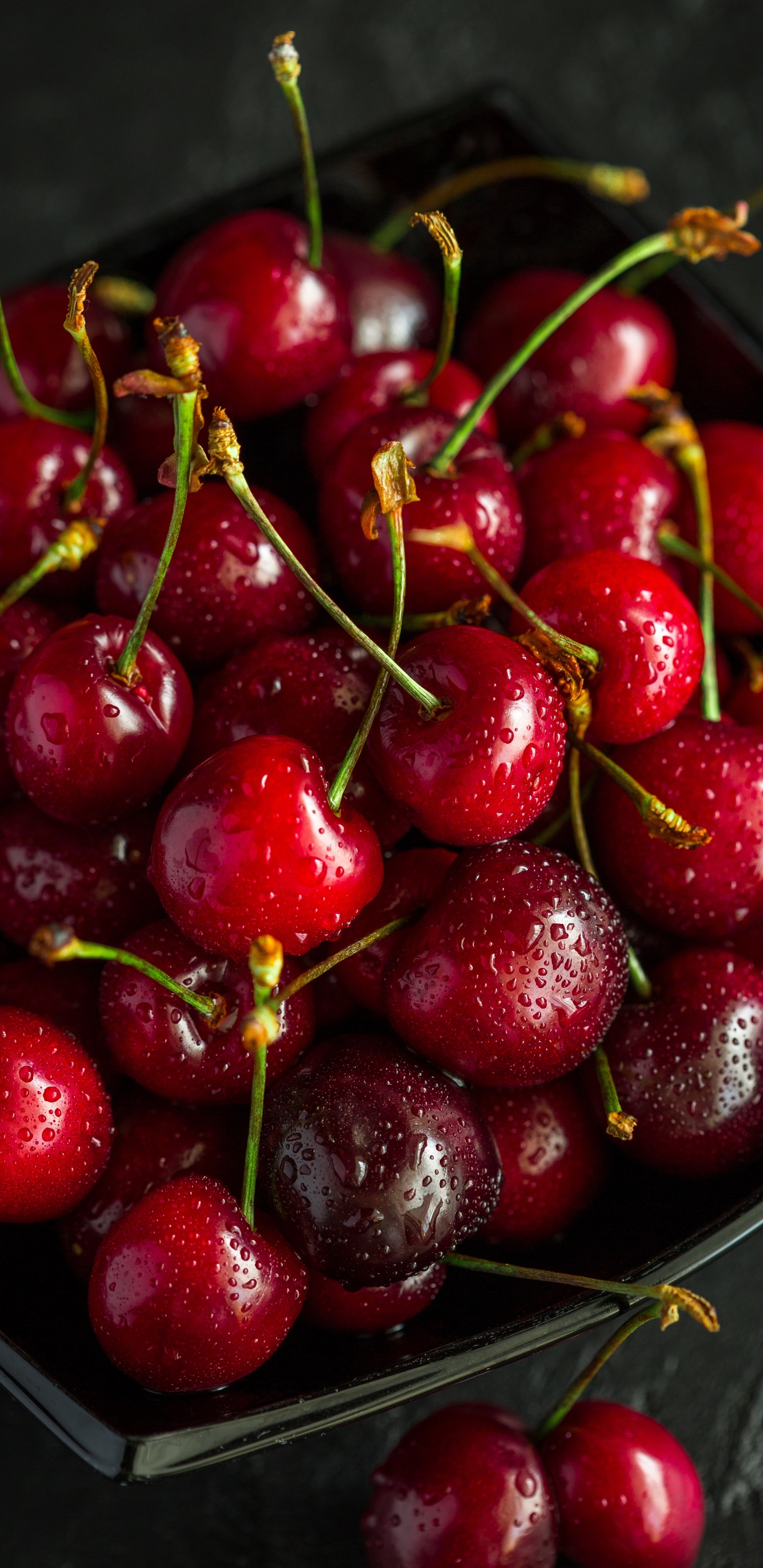 Red Cherries on Stainless Steel Bowl. Wallpaper in 1440x2960 Resolution