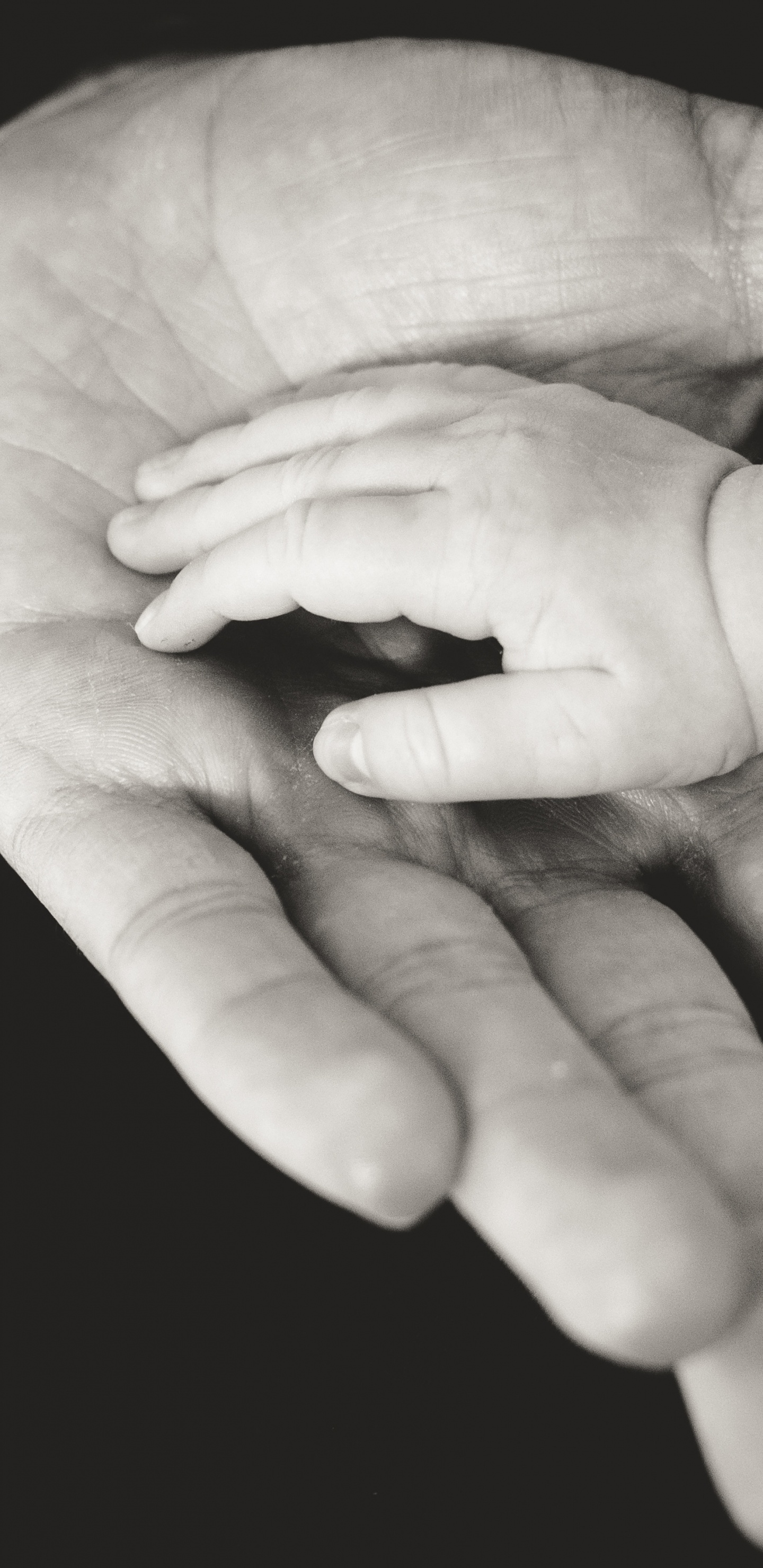 Persona Sosteniendo Una Tirita Blanca en la Mano Derecha. Wallpaper in 1440x2960 Resolution