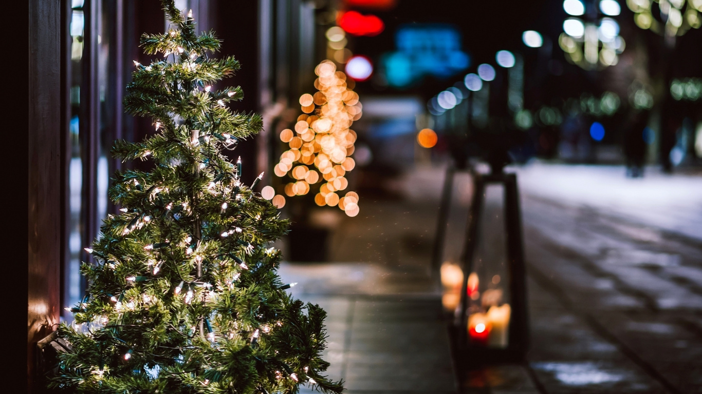 Christmas Day, Christmas Tree, Holiday, Christmas Lights, Christmas Decoration. Wallpaper in 1366x768 Resolution