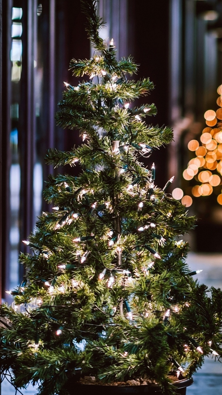 Christmas Day, Christmas Tree, Holiday, Christmas Lights, Christmas Decoration. Wallpaper in 720x1280 Resolution