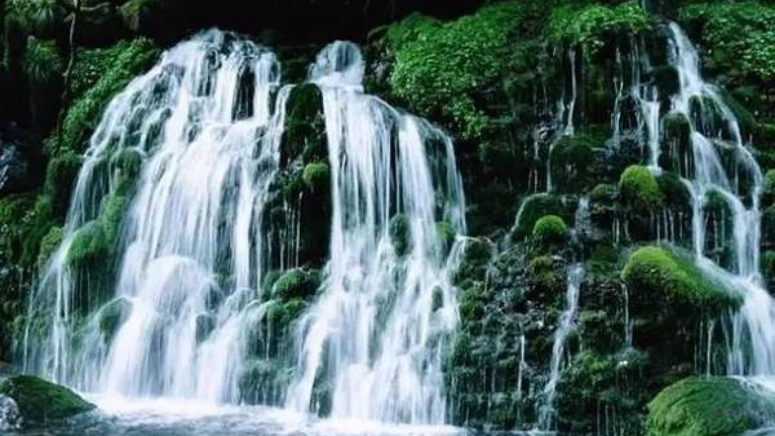 Waterfalls in The Middle of The Forest. Wallpaper in 2560x1440 Resolution