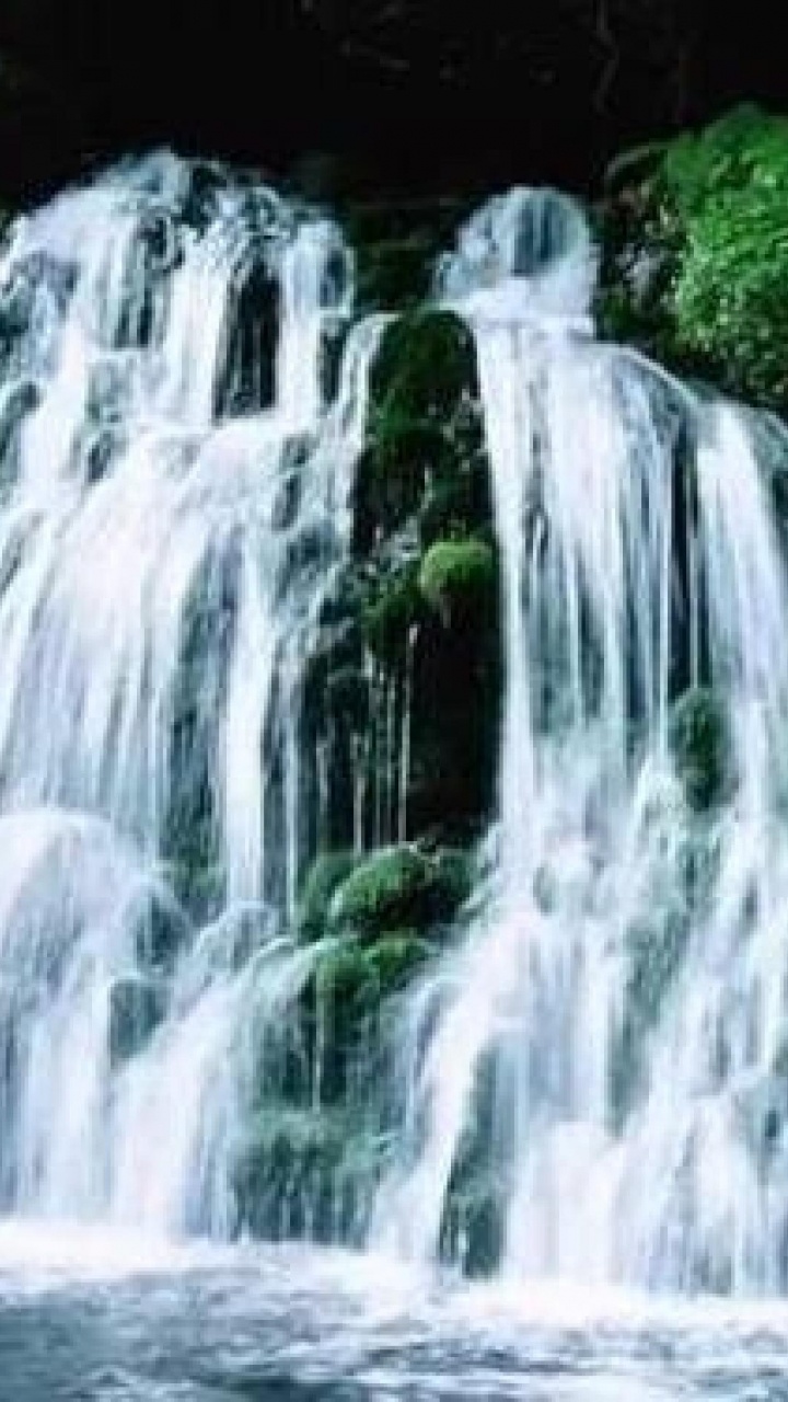 Cascades au Milieu de la Forêt. Wallpaper in 720x1280 Resolution