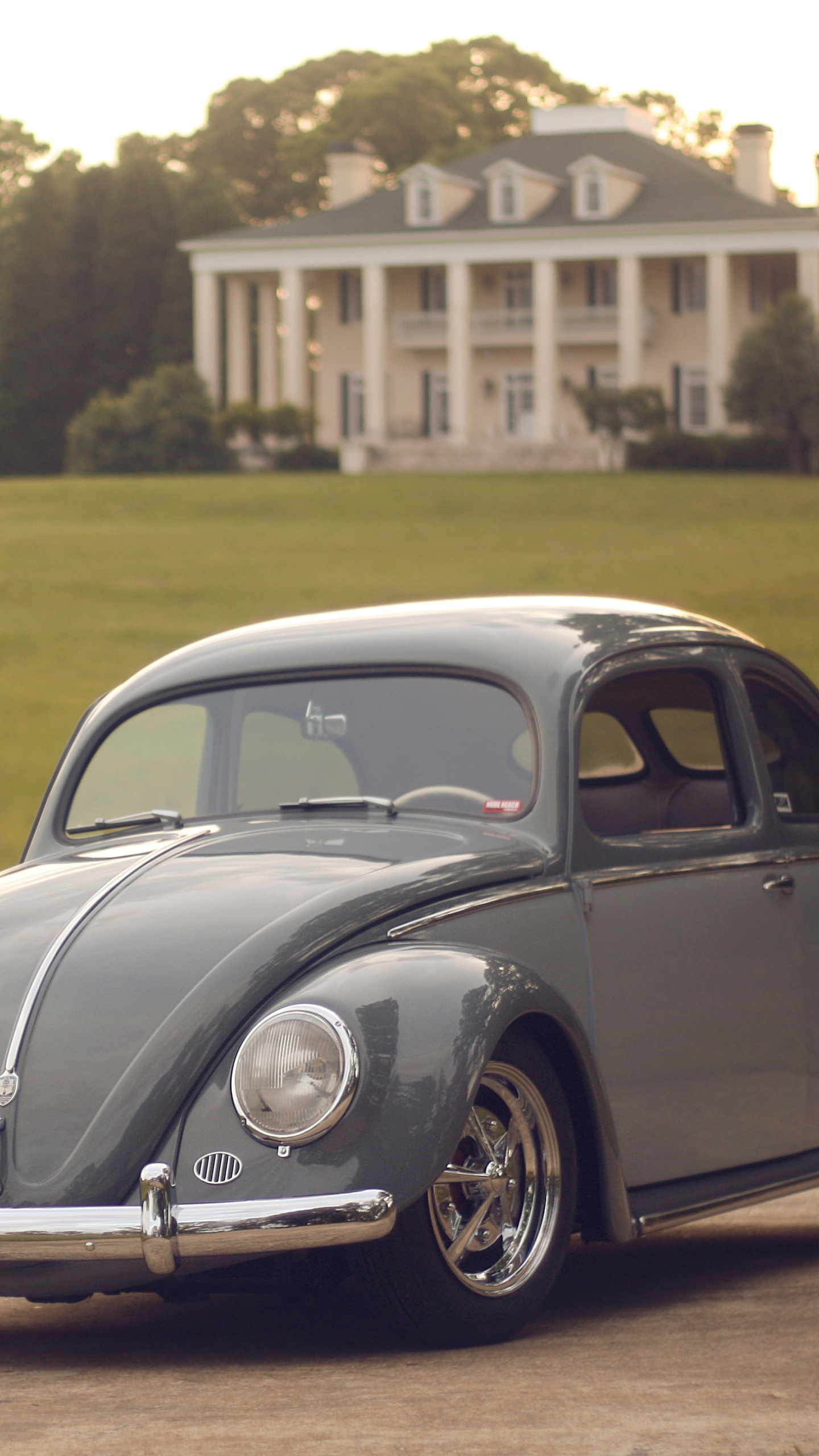 Volkswagen Beetle Noir Sur Terrain D'herbe Verte Pendant la Journée. Wallpaper in 1440x2560 Resolution
