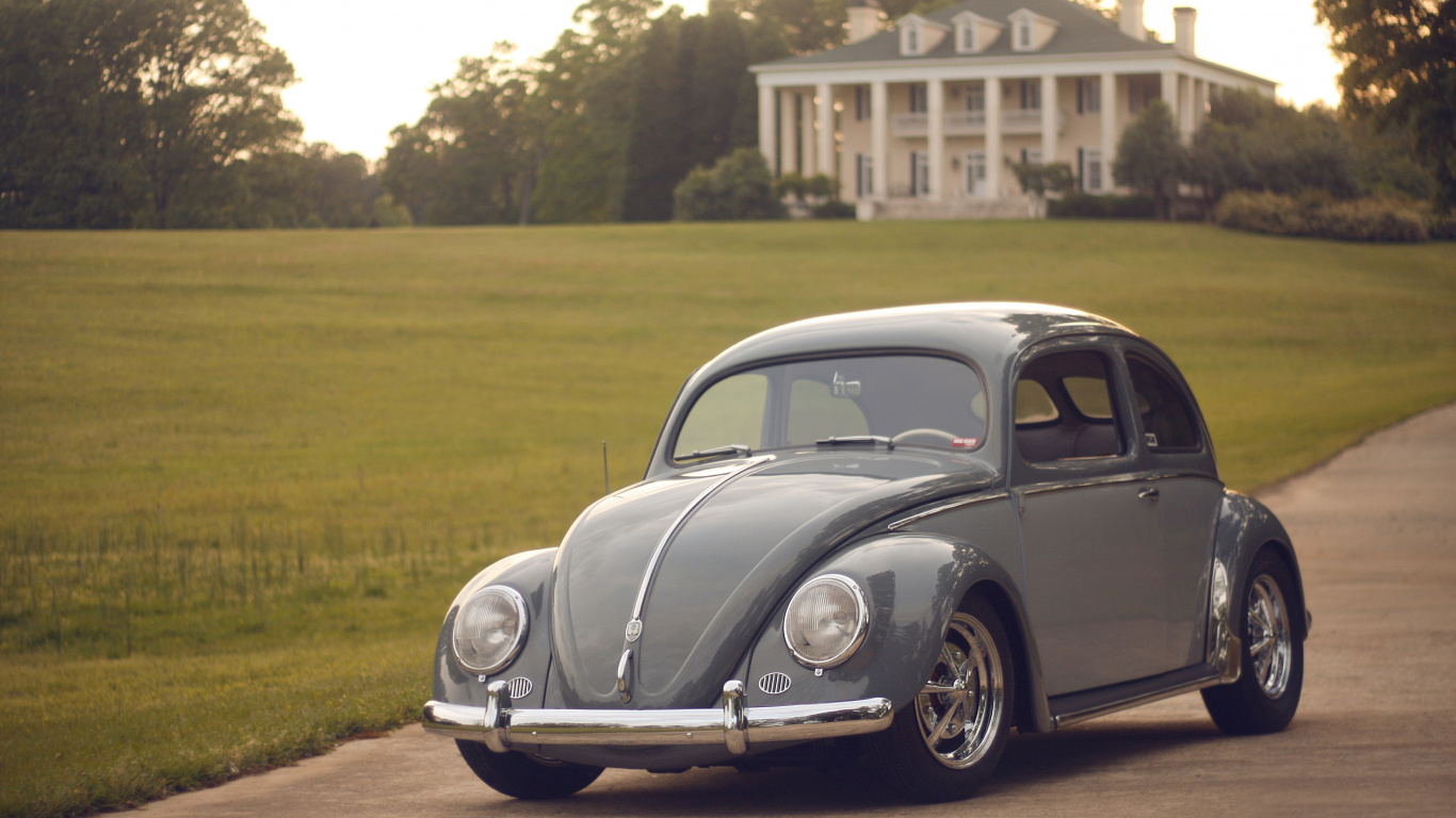 Black Volkswagen Beetle on Green Grass Field During Daytime. Wallpaper in 1366x768 Resolution