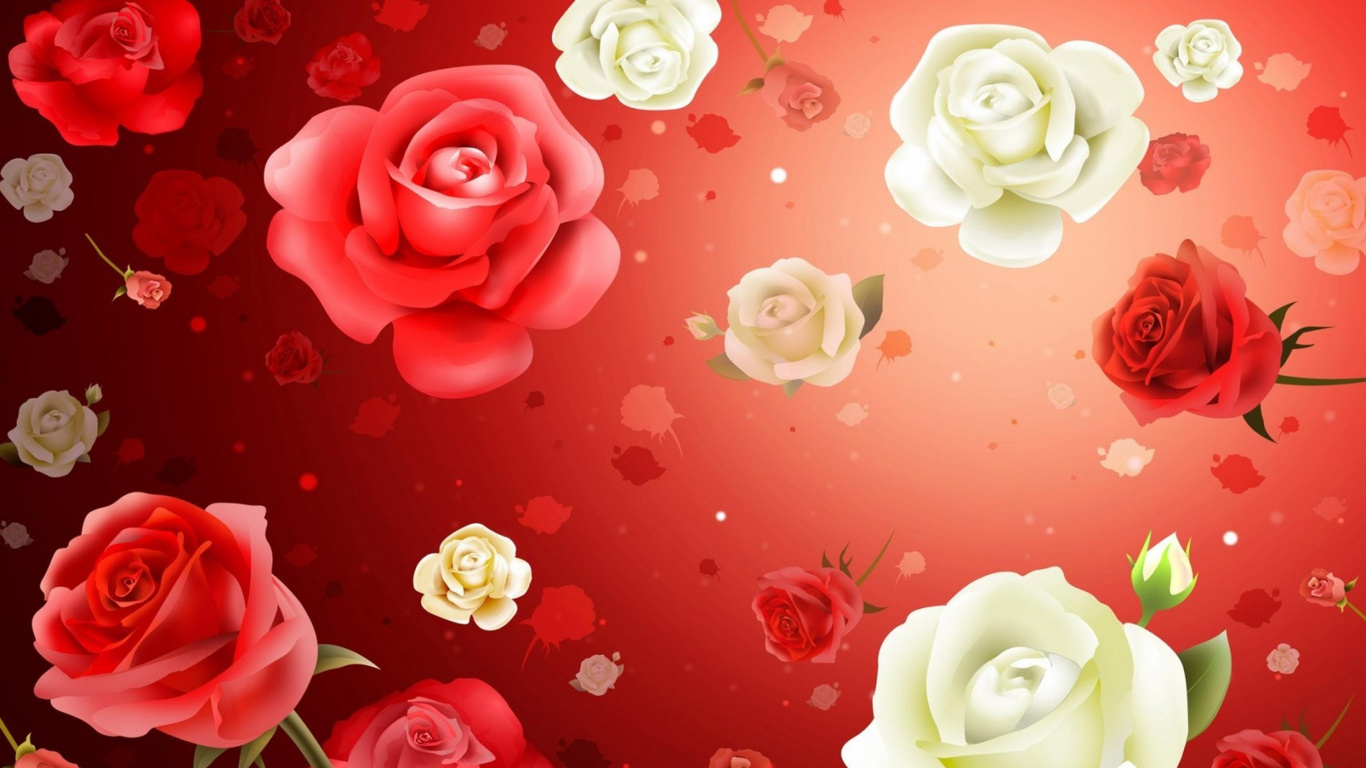 Weiße Und Rosa Rosen Auf Roter Fläche. Wallpaper in 1366x768 Resolution