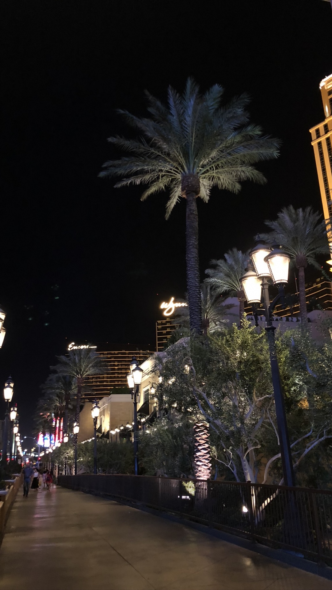 Las Vegas, Unis, Nuit, Surface de la Route, Lumière de Rue. Wallpaper in 1080x1920 Resolution