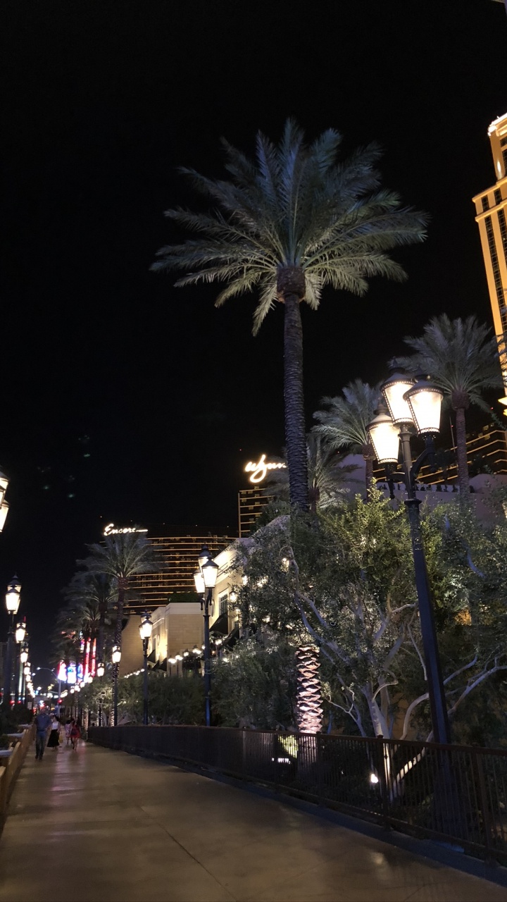 Las Vegas, Unis, Nuit, Surface de la Route, Lumière de Rue. Wallpaper in 720x1280 Resolution