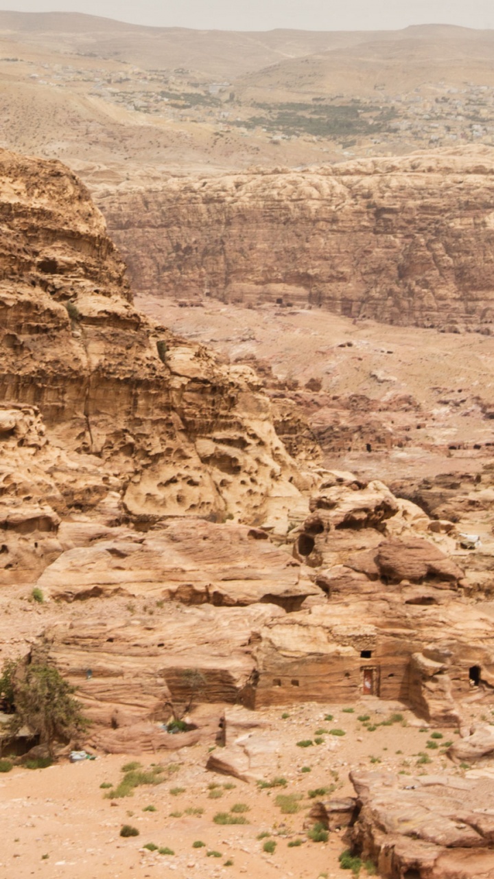 Tagsüber Grüner Kaktus Auf Braunem Sand. Wallpaper in 720x1280 Resolution